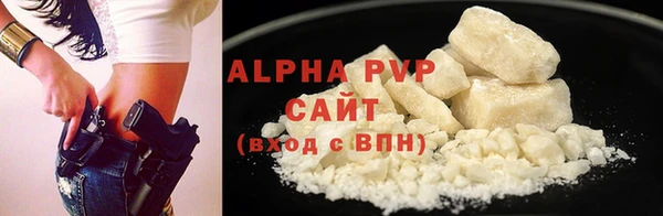 крисы Алзамай