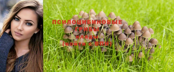 ешки Алексин