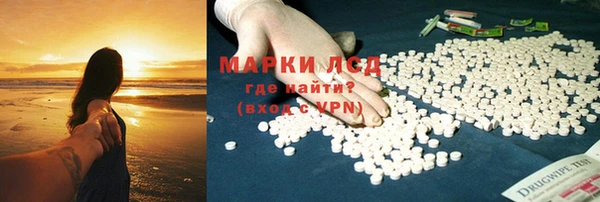 крисы Алзамай