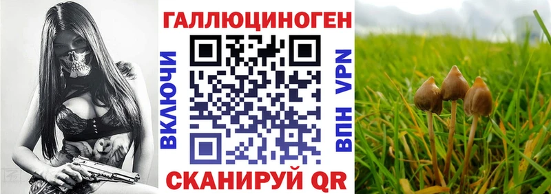 Псилоцибиновые грибы MAGIC MUSHROOMS  Туймазы 